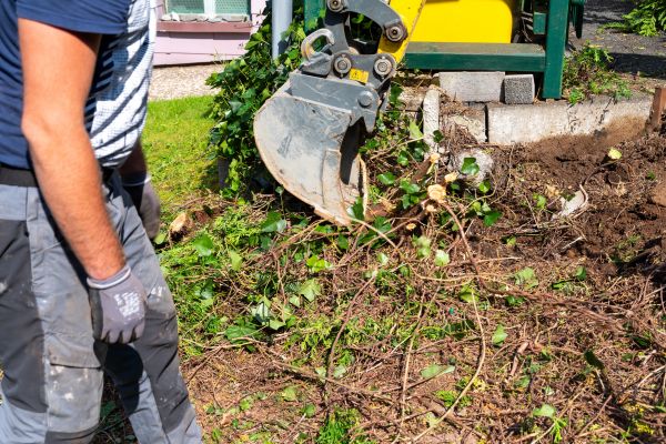 Hedge Removal Service in Lubbock