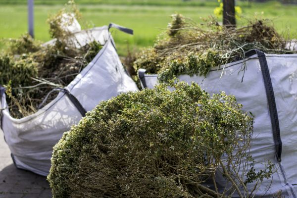 Cost of Shrubs Removal in Lubbock