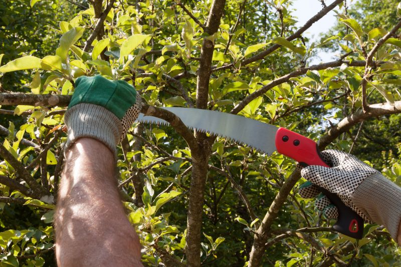 Seasonal Pruning